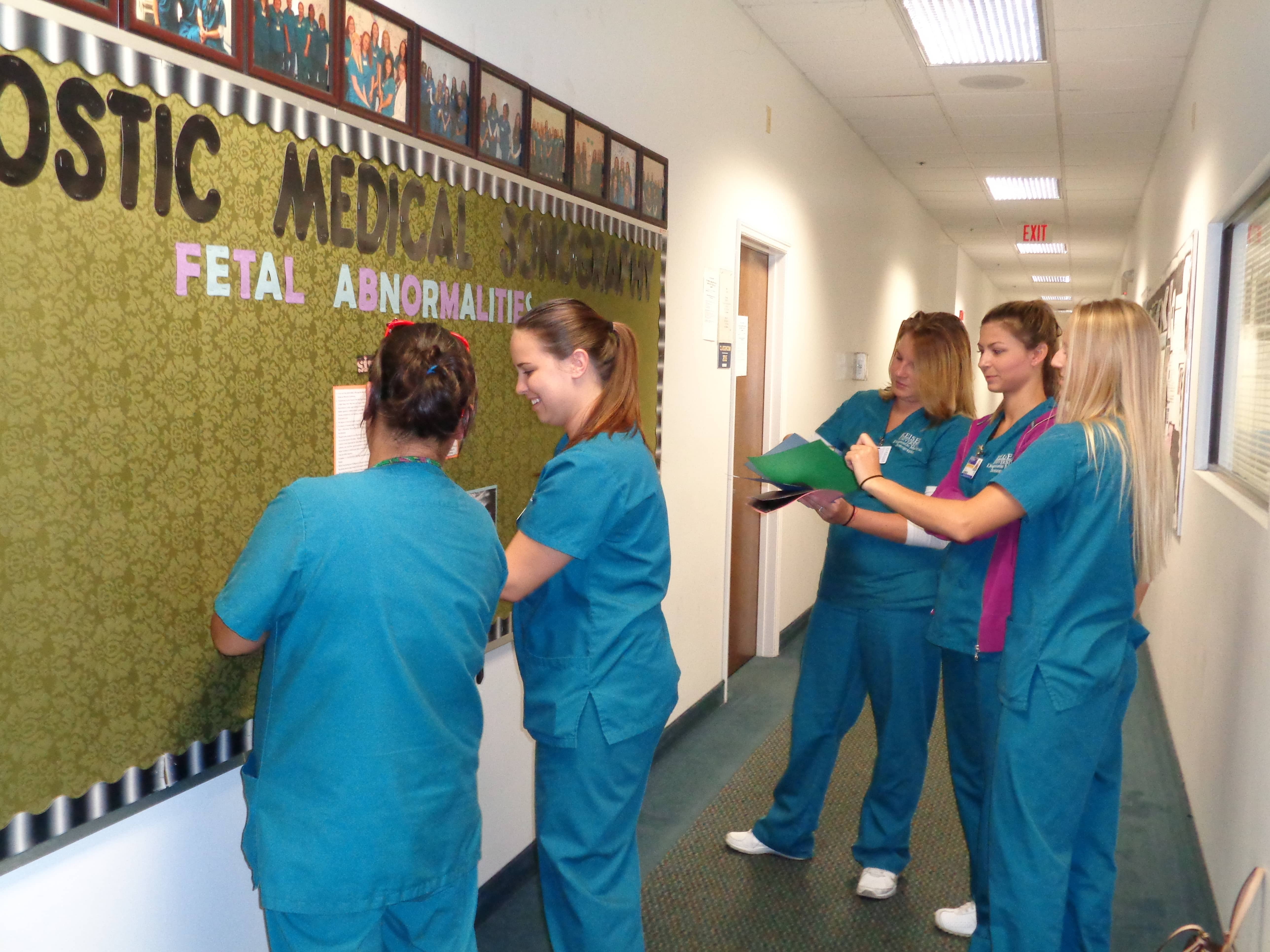 University Of South Florida Application Deadline Keiser University