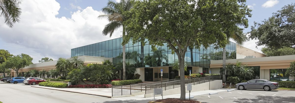 Latin Division – En Línea en Español