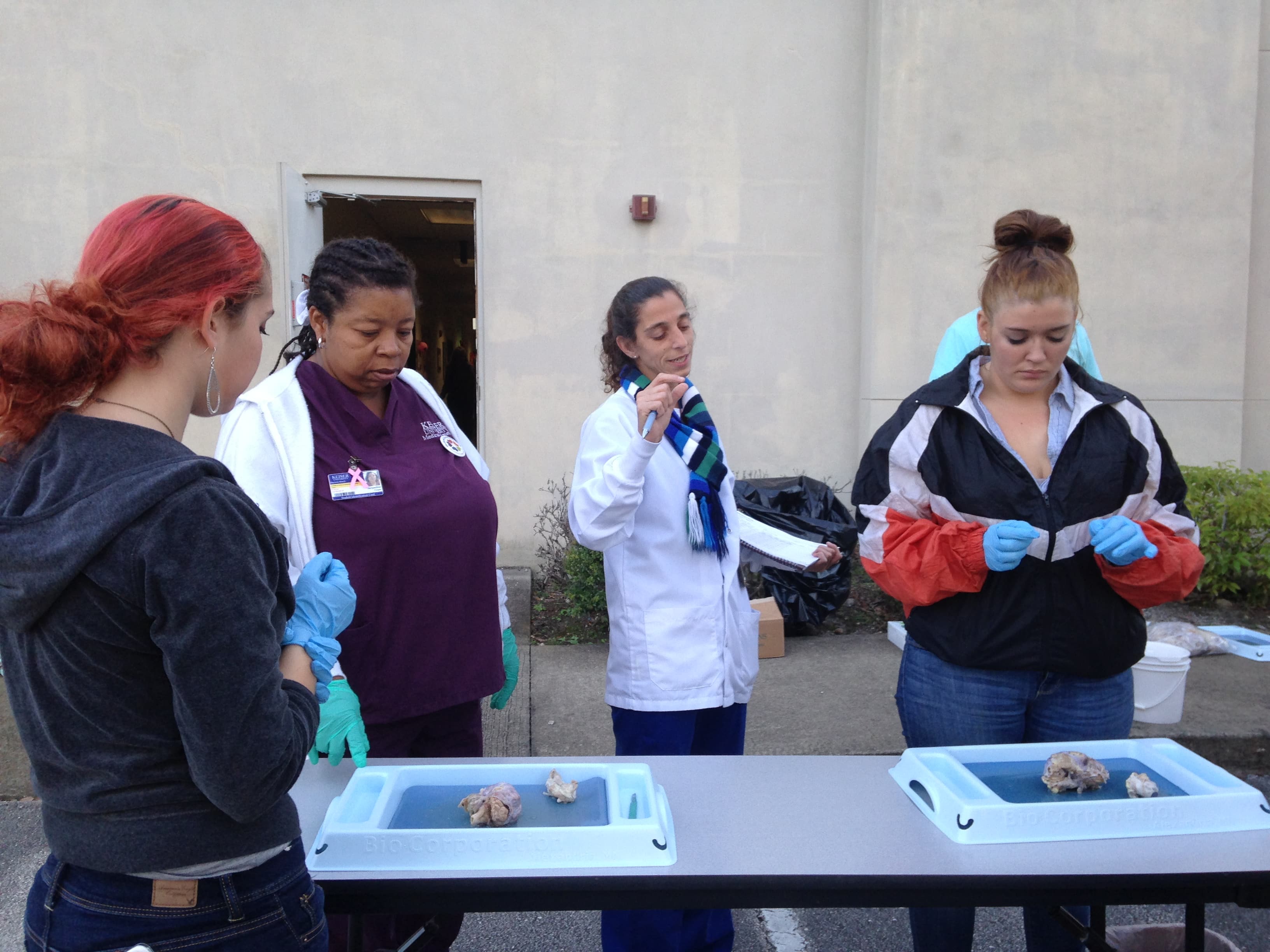 Daytona Medical Assisting Students Dissect Their Learning
