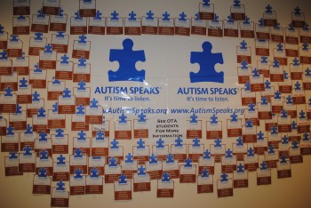 OTA autism wall puzzle June 2015 (1)