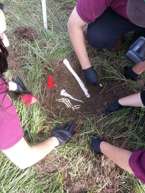 Forensic Investigation Students Work a Mock Burial Site