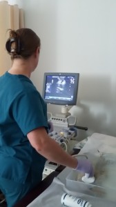 DMS ultrasound Nov. 2015 (2)