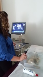 DMS ultrasound Nov. 2015 (3)