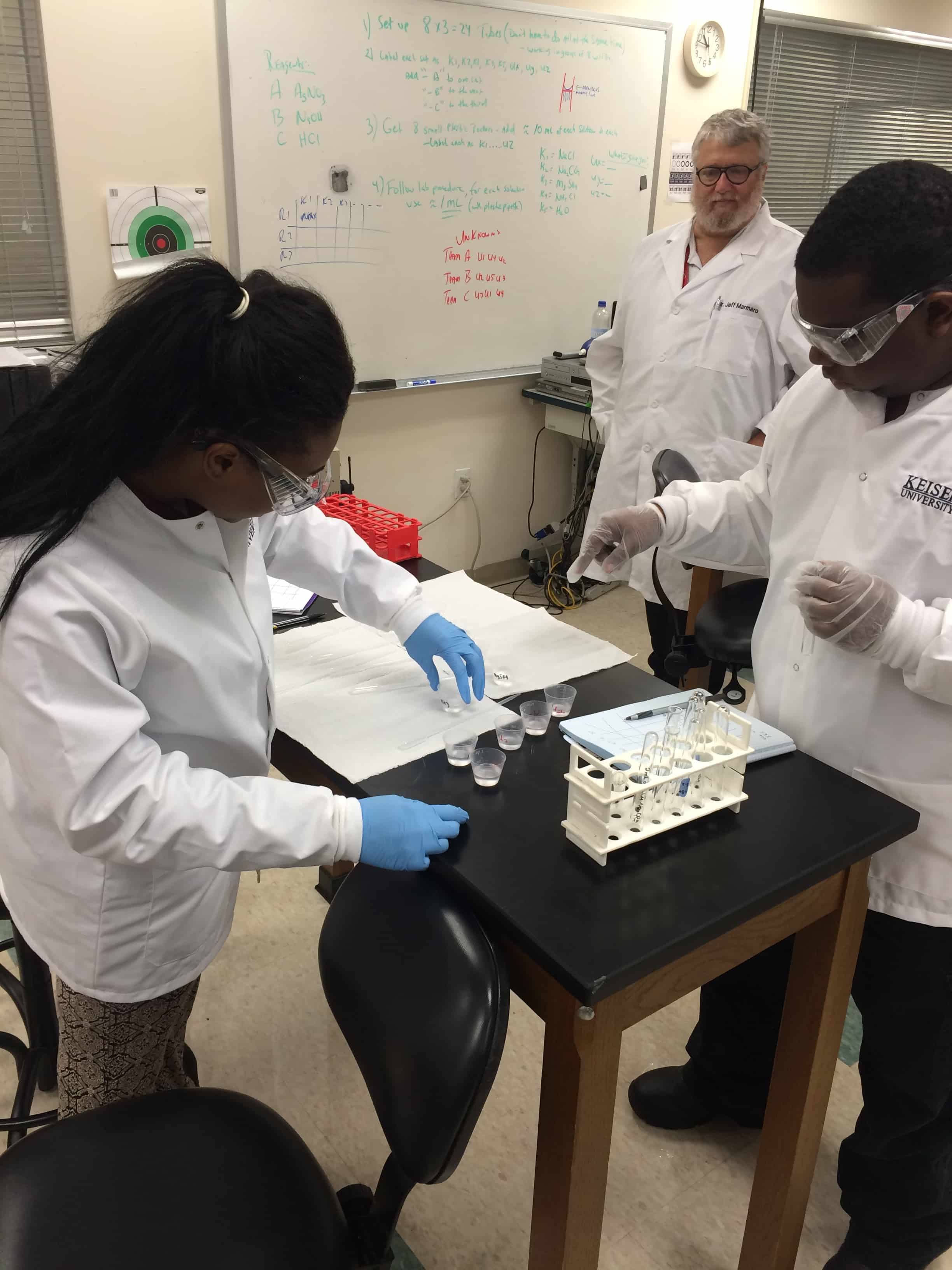 Chemistry Experiments Take Place in Sarasota