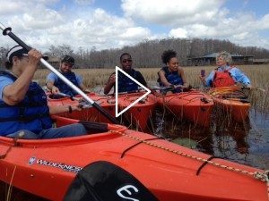 environmental science march 2016 video image