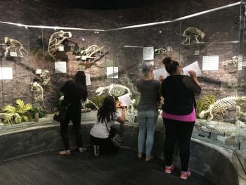 RT trip to skeleton museum April 2016 (2)