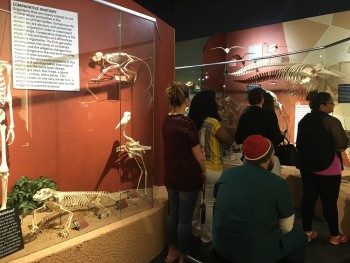 RT trip to skeleton museum April 2016 (3)