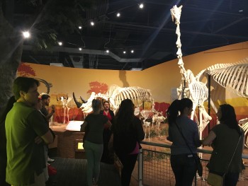 RT trip to skeleton museum April 2016 (4)