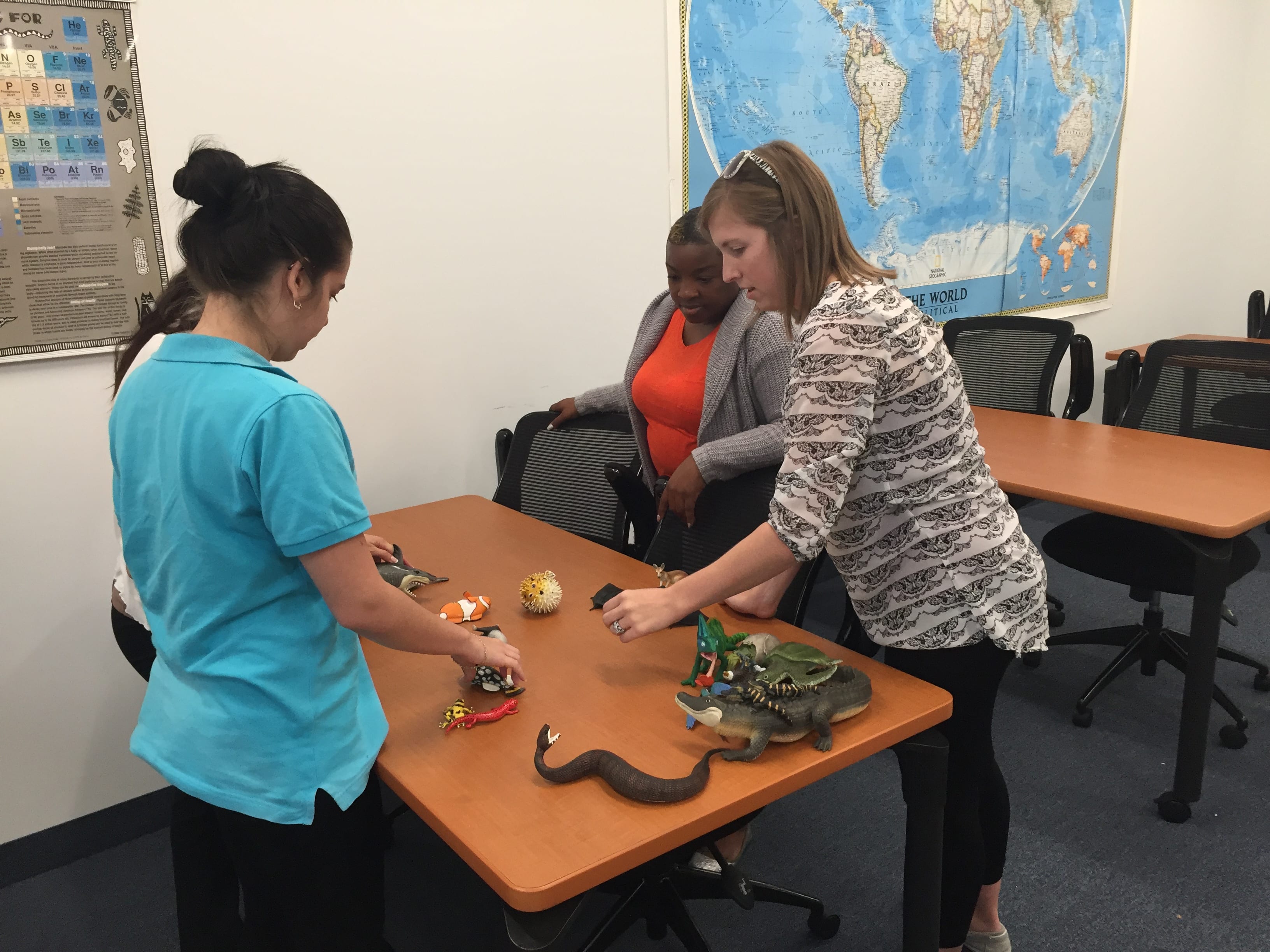 Melbourne Students Classify Members of the Animal Kingdom