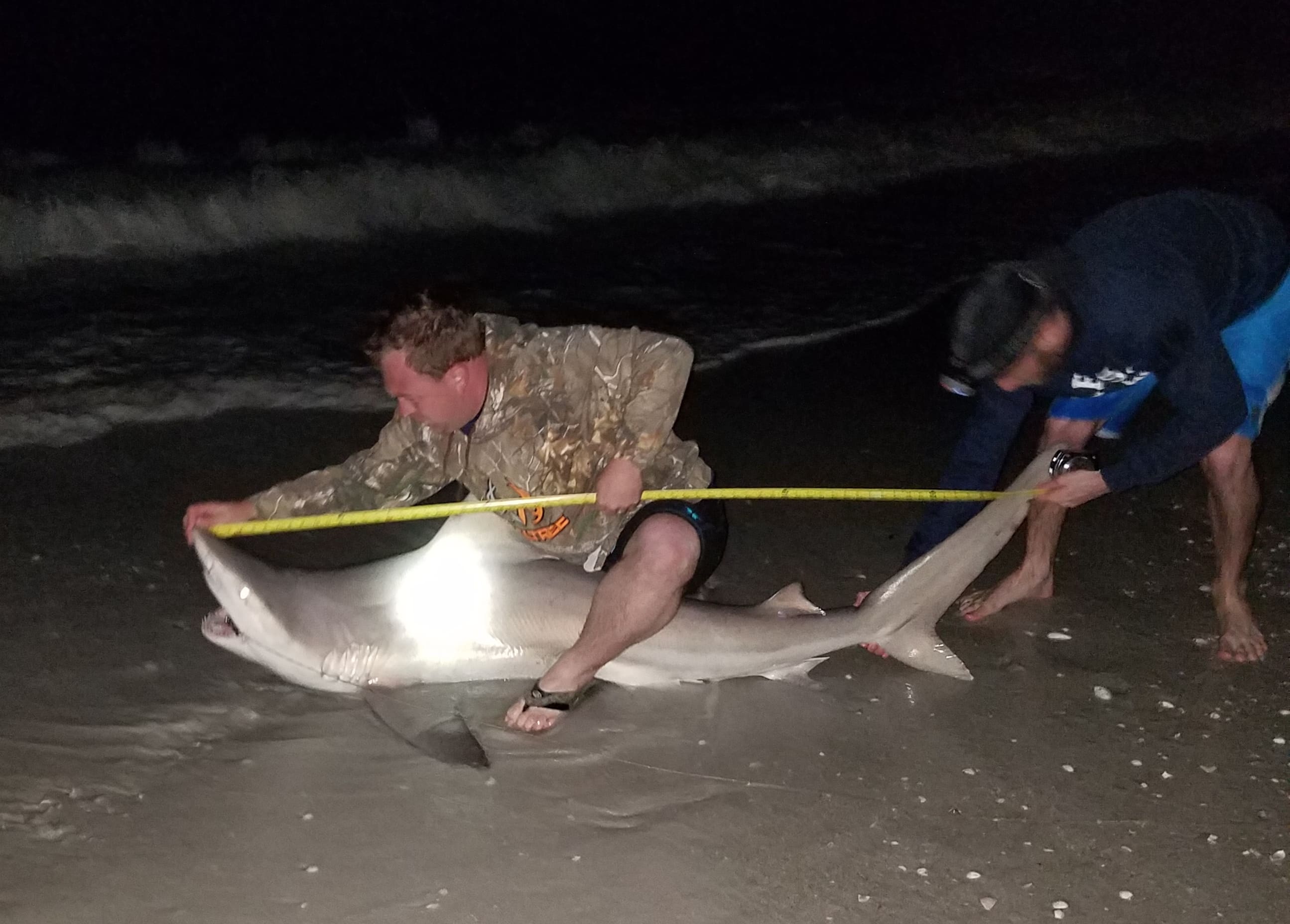 Keiser University Fort Myers and “Shark Hookers” Team Up for Night of Shark Tagging