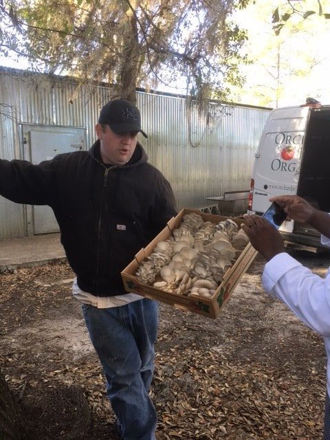 Tallahassee Culinary Students Visit Orchard Pond Organics