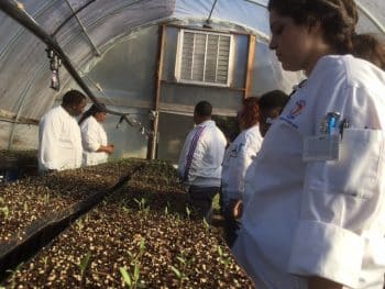 Ku Tlh Orchard Pond Organics March 2017 - Tallahassee Culinary Students Visit Orchard Pond Organics - Academics