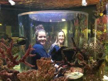 Pta March 2017 - Melbourne Pta Students Visit South Florida Science Center And Aquarium - Academics