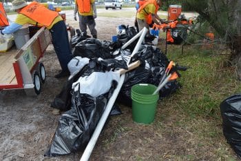 Biomed Students Volunteer April 2017 1 -  biomedical Sciences Students Clean-up Blackthorn Park - Community News