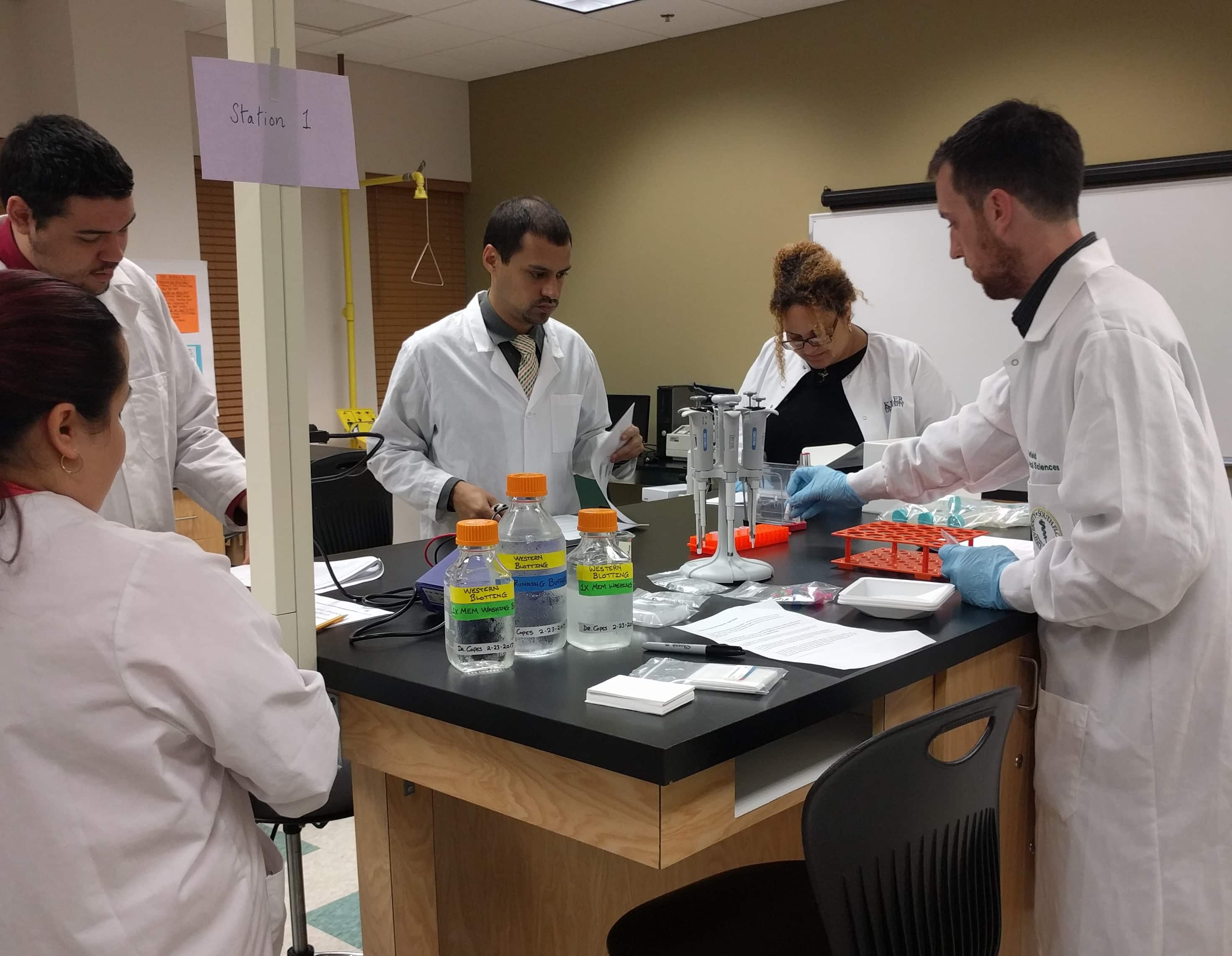 Biomedical Sciences Students Learn About Western Blotting 