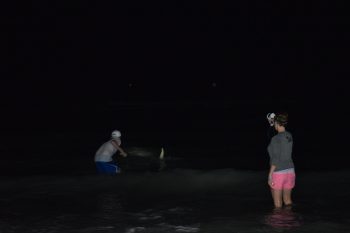 Sga Shark April 2017 4 - Fort Myers Student Government Association Sponsors Late Night Student Shark Fishing Trip - Community News