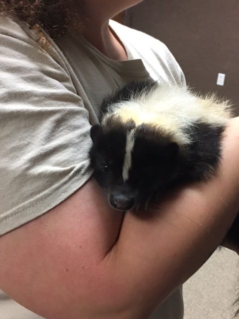 Busch Wildlife Sanctuary Visits the West Palm Beach Campus