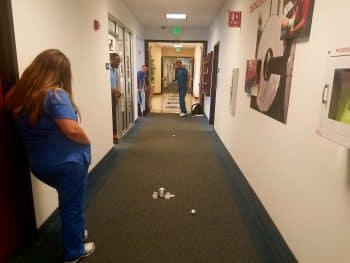 Finals Week June 2017 2 - Fort Myers Student Services Uses 3 P’s For Student Stress Relief During Finals Week� - Seahawk Nation