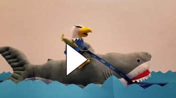 Skylarsharkvideo - Skylar: The Most Interesting Seahawk In The World - Seahawk Nation