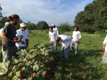 Ku Tlh Farm Tour Aug 2017 4 - Culinary Students Visit Orchard Pond Organics - Academics