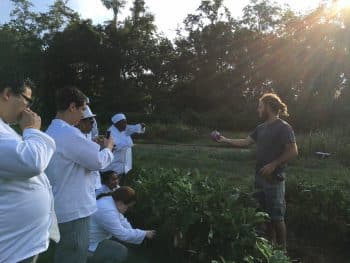 Ku Tlh Farm Tour Aug 2017 5 - Culinary Students Visit Orchard Pond Organics - Academics