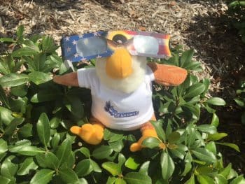 Psl - The Eclipse Captivates Ku Campuses - Seahawk Nation