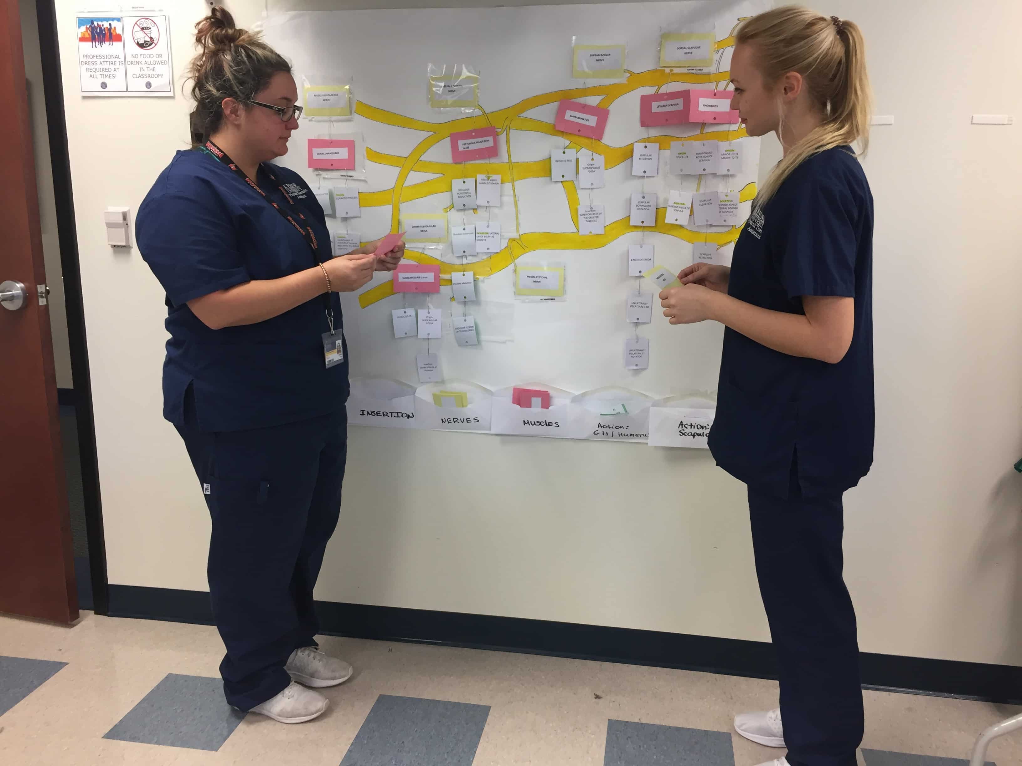 PTA Students Learn About Brachial Plexus