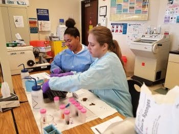 Histotechnology B - Keiser University Orlando Campus Students Enjoy Hands-on Lab Experience - Seahawk Nation
