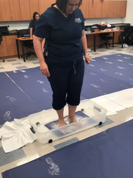 G7 E1523331873727 263x350 - Physical Therapist Assistant Students At The Melbourne Campus Enjoyed The Gait Analysis Lab. - Academics