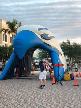 Blue Line 5k Wpb 2018 5 - Race At Ku-wpb Honors Law Enforcement And Public Safety Officers - News / Events