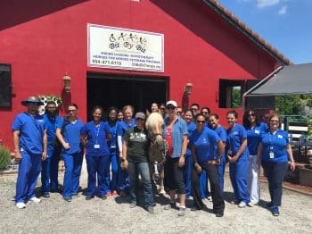 Pembroke Pines Hippotherapy A 6 18 - Ku Ota Students Enjoy Hippotherapy Lesson - Academics