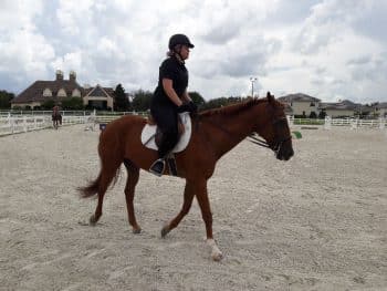 Flagship Equestrian Launch B 8 18 - Ku's Flagship Campus Unveils Its Equestrian Club - Academics