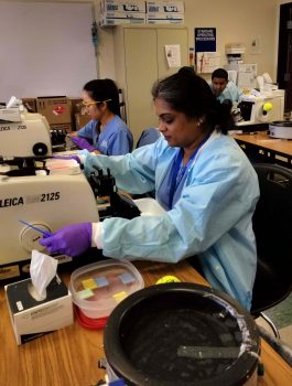 Orlando Histotechnology Program Students Enjoy Training Lab C 9 18 A - Orlando Campus Histotechnology Students One-step Closer To Becoming 'disease Detectives' - Seahawk Nation