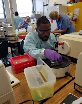 Orlando Histotechnology Program Students Enjoy Training Lab E 9 18 - Orlando Campus Histotechnology Students One-step Closer To Becoming 'disease Detectives' - Seahawk Nation