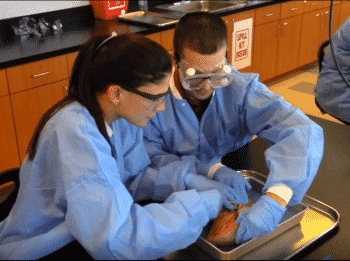 Dissection 1 - Tampa Students Learn Lesson Of The Heart On Valentine’s Day - News / Events