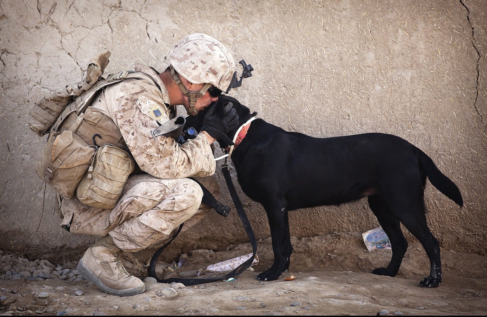 Happy veterans day thank you card