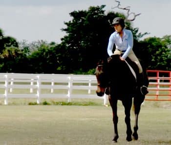 Cbs12 Equine Story Screen Shot Amanda 4 19 - Ku Equine Student And Professor Are Featured On Cbs12 - Academics