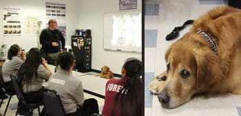 Wpb Criminal Science Lesson Tucker Canine A Low Res 6 19 - Ku West Palm Beach Campus Students Thank Pbso Deputy And Canine For Valuable Lesson - Seahawk Nation