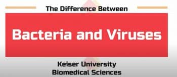 Tampa Dr Clare Canfield And Dr Neil Copes Discuss The Difference Between Bacteria And Viruses 5 20 - Keiser University Biomedical Science Professors Highlight The Major Differences Between Bacteria And Viruses - Seahawk Nation