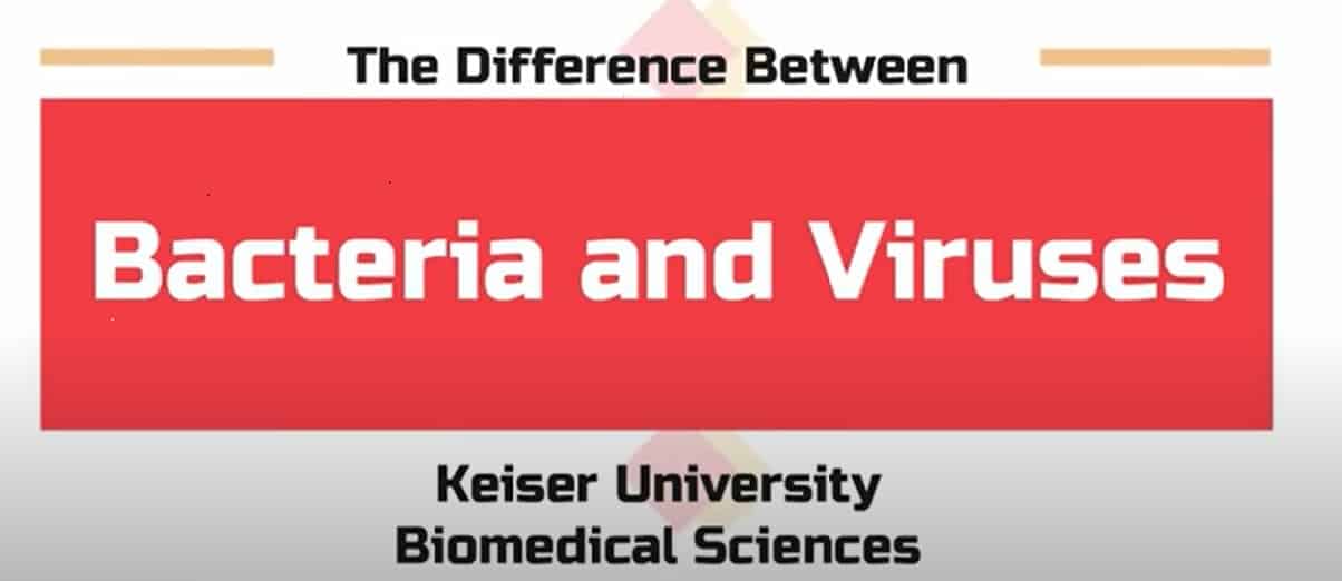 Keiser University Biomedical Science Professors Highlight the Major Differences Between Bacteria and Viruses