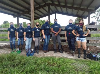 Flagship Equestrian A 10 20 - Keiser University Equestrian Students Support Thoroughbreds At Rehoming Facility - Keiser University Flagship