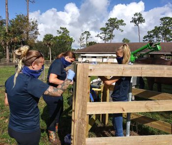 Flagship Equine Students Volunteer At Vinceremos B 11 20 - Keiser Equestrians Volunteer At Therapeutic Riding Center - Community News