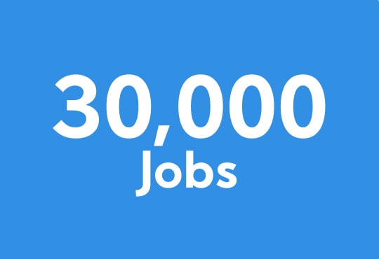 30000 Jobs - Some "fast Facts"