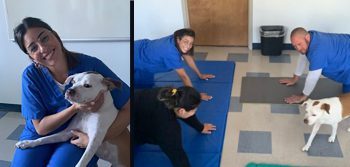Keiser University Ota Students Gain Insights Through Therapeutic Interventions - Occupational Therapy Students Gain Insights From Therapeutic Interventions - Health Keiser University OTA Students Gain Insights Through Therapeutic Interventions