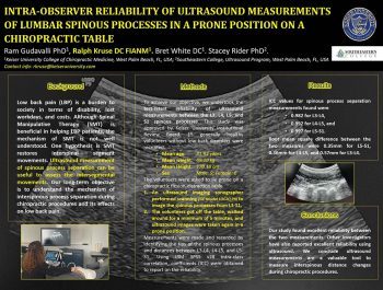 Dr Ralph Kruse Presented Two Posters On Chiropractic Research Findings From Studies He D Conducted Along With Keiser University College Of Chiropractic Medicine Colleagues Dr Maria Berenice Duran Dr James Cox Dr Bret White And Dr Ram Gudavalli - Keiser University Chiropractic Researchers Share Findings At International Consortium - Academics