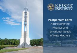 Postpartum Care: Meeting Physical and Emotional Needs of New Mothers