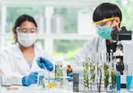 Explore Your Future at Keiser University