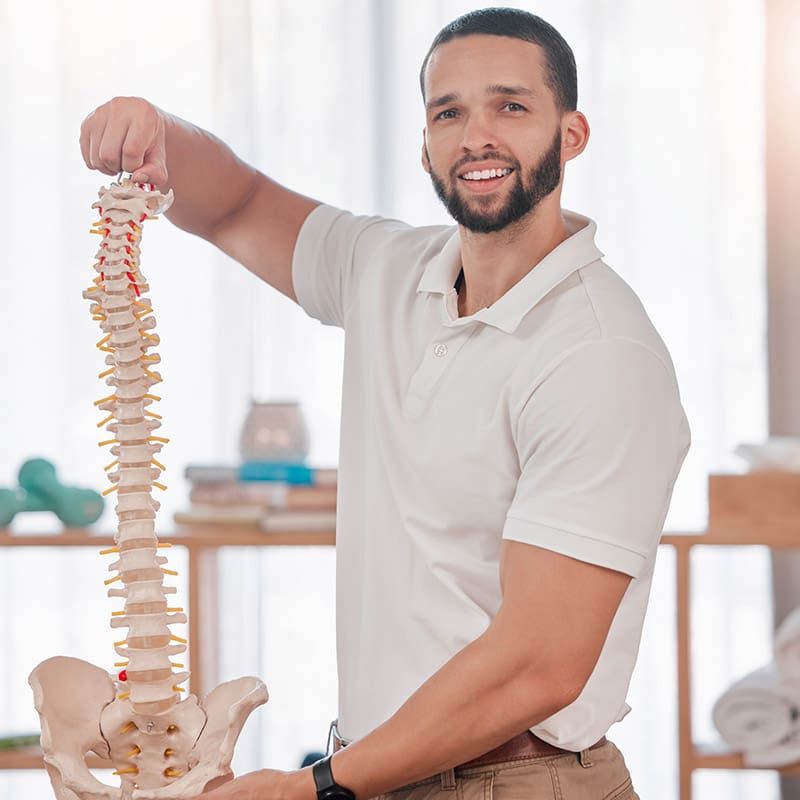 Doctor of Chiropractic