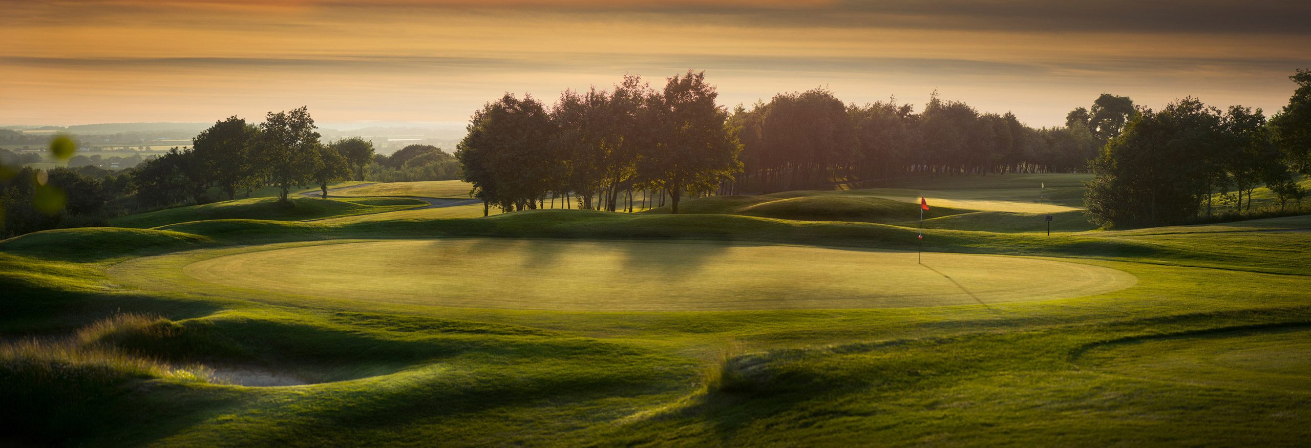 Turfgrass Management, AS