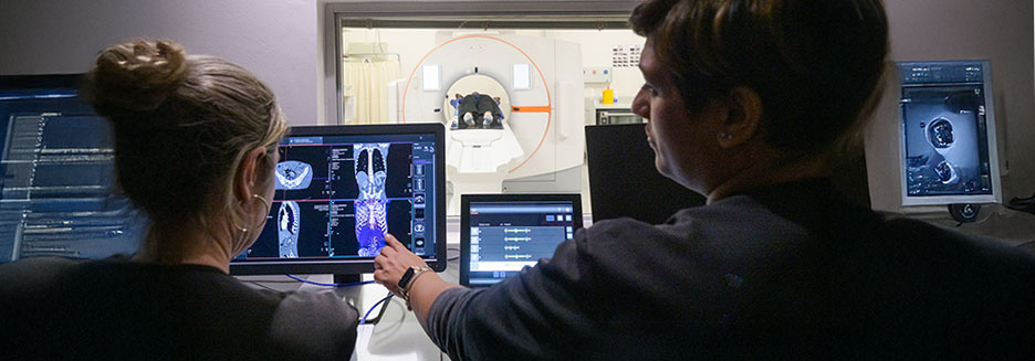 Radiologic Technology, AS Program
